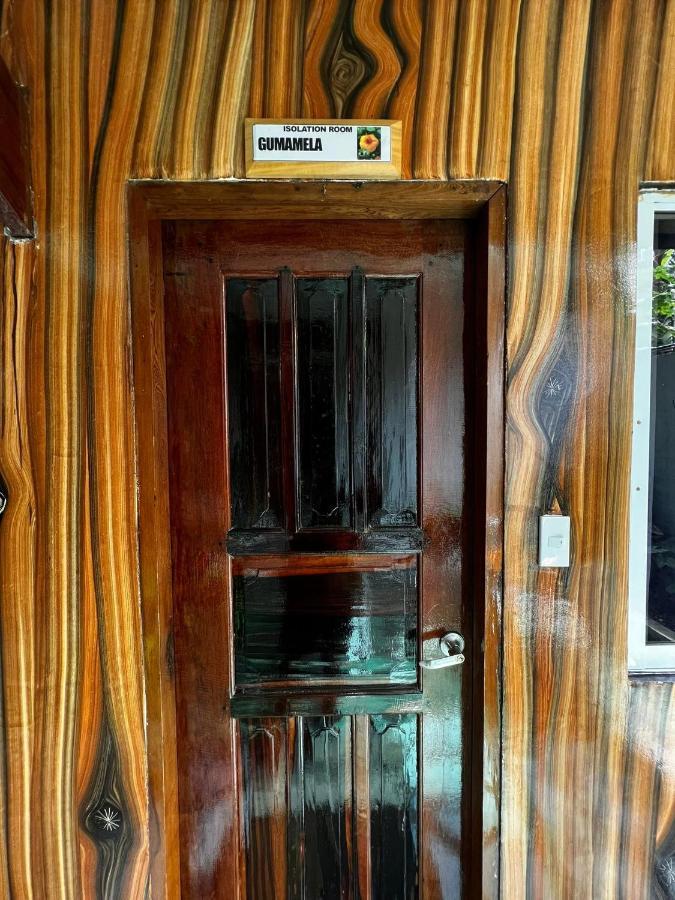 Balay Paragua El Nido Esterno foto